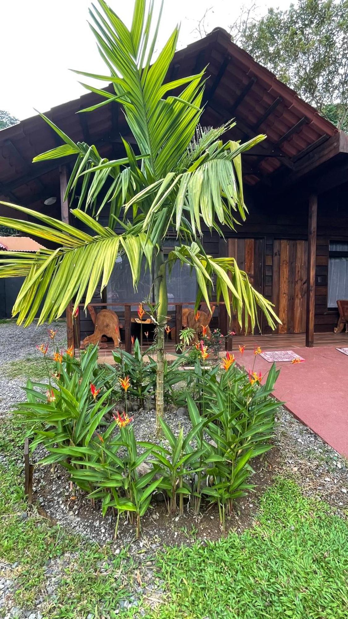 La Fortuna Waterfall Bungalows Экстерьер фото